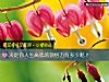 《决定你<i>人生</i>高低的领悟力有多少呢？》测试