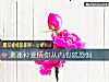 《测哪种爱情你从内心就<i>恐惧</i>》测试