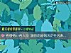 《看感情or看人品 测你的<i>婚姻</i>决定性因素是什么》测试