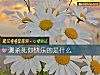 《测杀死你快乐的是什么》测试