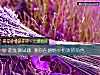 《超准测试题 测你在<i>感情</i>中扮演的角色》测试