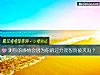 《测你的<i>感情</i>会因为你的过分理智而破灭吗？》测试