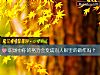 《<i>职场</i>中你的努力会变成别人眼里的做作吗？》测试