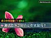 《测试意外之财会让你致富吗？》测试