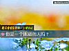 《你是一个挑剔的人吗？》测试