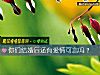 《你们结<i>婚后</i>还有爱情可言吗？》测试