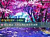《<i>命运</i>测试 人生运势旺衰免费测算》测试