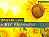《测<i>下任</i>男友会更有钱吗？》测试