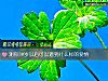 《测你30岁<i>以后</i>可以遇到什么样的爱情》测试