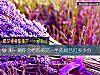 《测一测你会给你的<i>另一半</i>的厨艺打多少分》测试