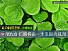 《制约你们<i>感情</i>进一步发展的瓶颈》测试