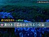 《测你本年底能收获到多少财富》测试
