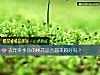 《去年冬季你的<i>桃花</i>运会越来越好吗？》测试