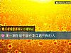 《测一测你能不能在本年遇到<i>真心</i>人》测试