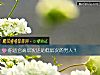 《你适合高层次还是低层次的<i>男人</i>？》测试