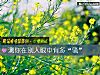 《测你在别人<i>眼中</i>有多“骚”》测试