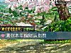 《测你本年偏财运指数》测试