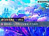 《测你的<i>人生</i>经历几次挫折才会成功》测试