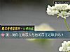 《测一测你在意恋人与他的<i>前任</i>还联系吗？》测试