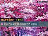 《什么方法是化解你感情<i>矛盾</i>的首选》测试