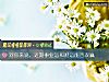 《对你来说，近期事业运和财运能否双赢》测试
