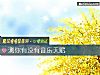 《测你<i>有没有</i>音乐天赋》测试