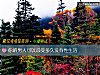 《你的<i>男人</i>可以忍受多久没有性生活》测试