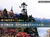 《神秘心测：你内心隐藏最深的<i>自卑</i>来源》测试