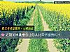 《近期如果跳槽会让你从此荣华富贵吗？》测试
