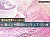 《测试父母<i>离婚</i>给你带来多少伤害》测试