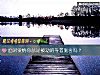 《<i>面对</i>爱情你总是被动的等着施舍吗？》测试