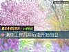 《测你<i>工作</i>几年后能开始创业》测试