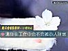 《测你在工作中会不会被<i>小人</i>所害》测试