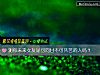 《测你未来<i>女友</i>是可同甘不可共苦的人吗？》测试
