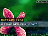 《测你的什么<i>职场</i>弊病被上司看透了？》测试