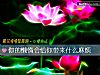 《你的懒惰会给你带来什么<i>麻烦</i>》测试