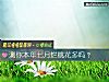 《测你本年七月烂<i>桃花</i>多吗？》测试