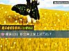 《暧昧过后 你会真正<i>爱上</i>对方吗？》测试