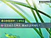 《<i>生活</i>观念差异大 测试你该离婚吗？》测试