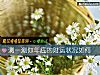 《测一测你年底的财运状况如何》测试