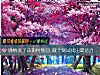 《<i>感情</i>淡了该如何挽回 做个测试找出最适合你的方法》测试