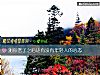 《测你老了之后还<i>有没有</i>年轻人的心态》测试