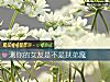《测你的<i>女友</i>是不是扶弟魔》测试
