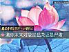 《测你未来<i>对象</i>是温柔还是严肃》测试