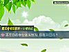 《本年你的<i>事业</i>能发展吗 你能升官吗？》测试