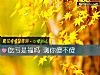 《吃亏是福吗 测你傻不傻》测试