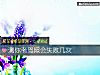 《测你考驾照会<i>失败</i>几次》测试