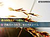 《潜藏的内心<i>欲望</i>，看你到底是什么》测试