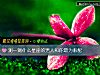 《测一测什么星座的<i>男人</i>和你最为般配》测试