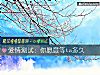《<i>爱情</i>测试：你愿意等ta多久》测试